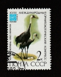 Sellos de Europa - Rusia -  Grulla monje, congreso int. ornitologia