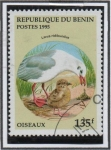 Sellos de Africa - Benin -  Larus ridibundus