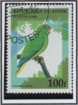 Stamps Benin -  Amazona