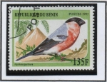 Stamps : Africa : Benin :  Pyrrhala pyrrhala