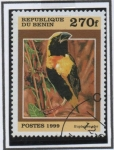 Stamps Benin -  Euplectes