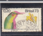 Sellos de America - Brasil -  Rubí brasileño (Clytolaema rubricauda), Trumpetbush amarillo