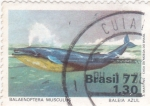 Stamps : America : Brazil :  Ballena Azul (Balaenoptera musculus)