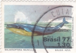 Sellos del Mundo : America : Brasil : Ballena Azul (Balaenoptera musculus)