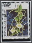 Sellos de Africa - Benin -  Orquídeas: Angraecum eicherianum