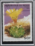 Sellos de Africa - Benin -  Flores d' Cactus: Astrophytum senile