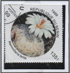 Stamps Benin -  Flores d' Cactus:  Mmmillaria