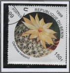 Sellos de Africa - Benin -  Flores d' Cactus: Oehmea nelsonil