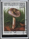 Stamps Benin -  Crtinarius