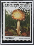 Stamps Benin -  amanita rubescenns