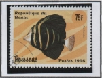 Stamps Benin -  Peces: Acanthuridae
