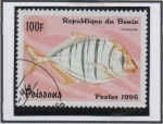 Stamps Benin -  Peces: carangidae