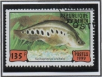 Sellos de Africa - Benin -  Peces: Notopterus