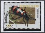 Sellos de Africa - Benin -  Escarabajos: Zonabris
