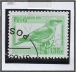 Stamps Benin -  Coracias garrulus