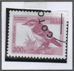 Sellos de Africa - Benin -  Acrocephalus