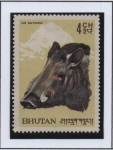 Stamps Bhutan -  Cerdo pigmeo