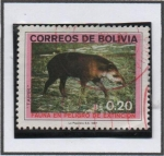 Stamps Bolivia -  Tapiz