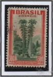 Stamps Brazil -  BotanicaRio d' Janeiro