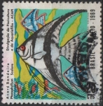 Stamps Brazil -  Angelfish