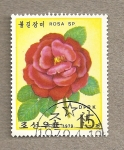 Stamps : Asia : North_Korea :  Rosa