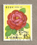 Stamps North Korea -  Rosa