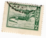 Stamps : America : Argentina :  YACARE
