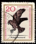 Stamps Germany -  Aves de rapaces europeos, ratonero (DDR).