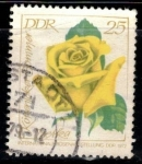 Stamps Germany -  Exposición Internacional de Rosas, Izetka Köpenicker Verano(DDR).