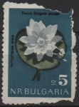 Stamps Bulgaria -  Neufar