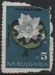 Sellos de Europa - Bulgaria -  Neufar