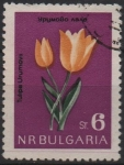 Sellos de Europa - Bulgaria -  Tulipanes