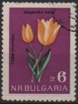 Stamps Bulgaria -  Tulipanes