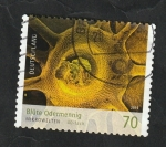 Stamps Germany -  3000 A - Agrimonia