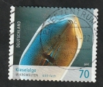 Stamps Germany -  3001 A - Diatomea
