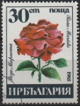 Stamps Bulgaria -  Rosa Marista