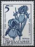 Sellos de Europa - Bulgaria -  Flores. Iris Germanica