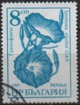 Stamps Bulgaria -  Flores. Ipomoea Tricolor