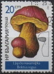Stamps Bulgaria -  Setas: Boletus Reginun