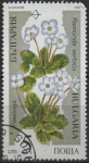 Stamps Bulgaria -  Plantas en peligro d' exticion: Ramonda Serbica