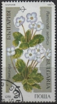 Sellos de Europa - Bulgaria -  Plantas en peligro d' exticion: Ramonda Serbica
