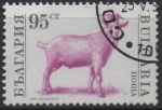 Stamps Bulgaria -  Animales d' Granja: Cabra