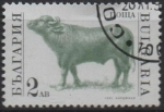 Stamps Bulgaria -  Animales d' Granja: Buey