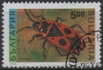Stamps Bulgaria -  Escarabajo carroñero