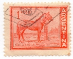 Stamps : America : Argentina :  CABALLO