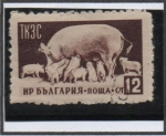 Stamps Bulgaria -  Cerdos