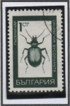 Sellos de Europa - Bulgaria -  Insectos: Procerus Scabru