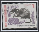Stamps Bulgaria -  Rata Almizclera