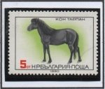 Stamps Bulgaria -  Caballos Arabes
