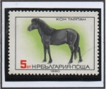 Sellos de Europa - Bulgaria -  Caballos Arabes